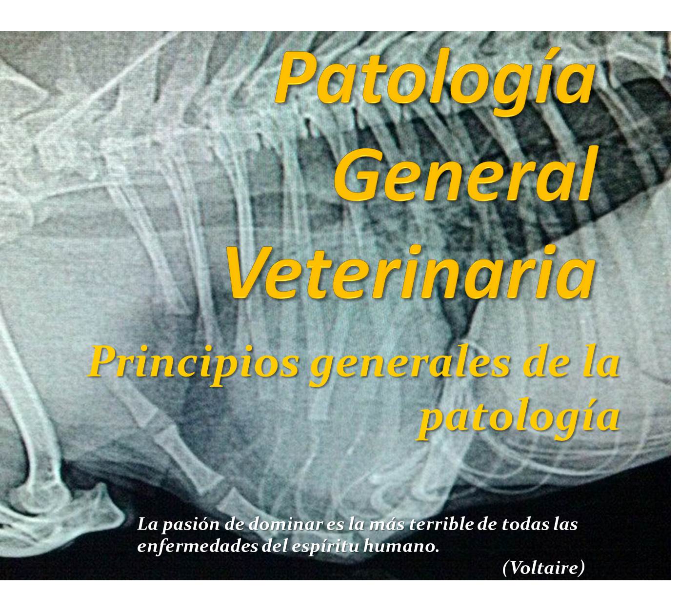 Patología general veterinaria Grupo 2 