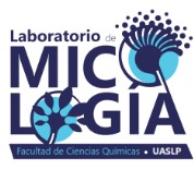 Laboratorio de Micología 