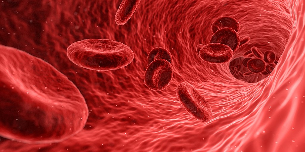 Hematología I