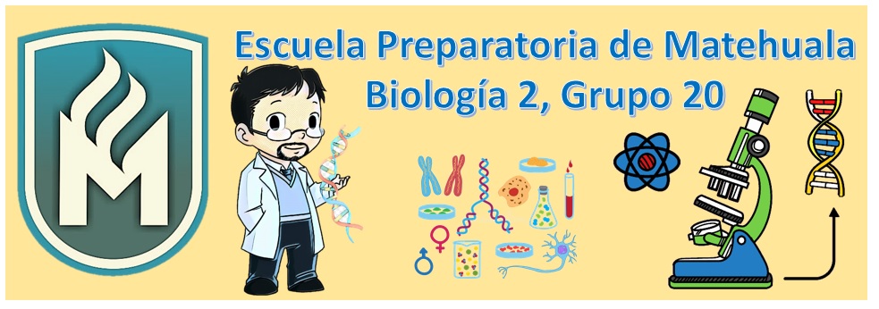 Biología 2-G20