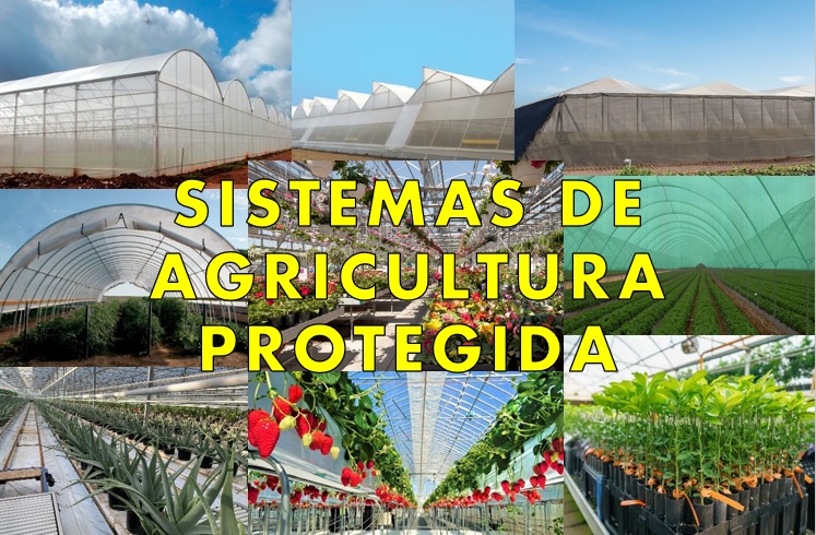SISTEMAS DE AGRICULTURA PROTEGIDA