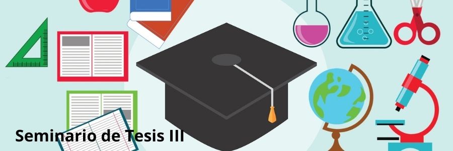 Seminario de Tesis III