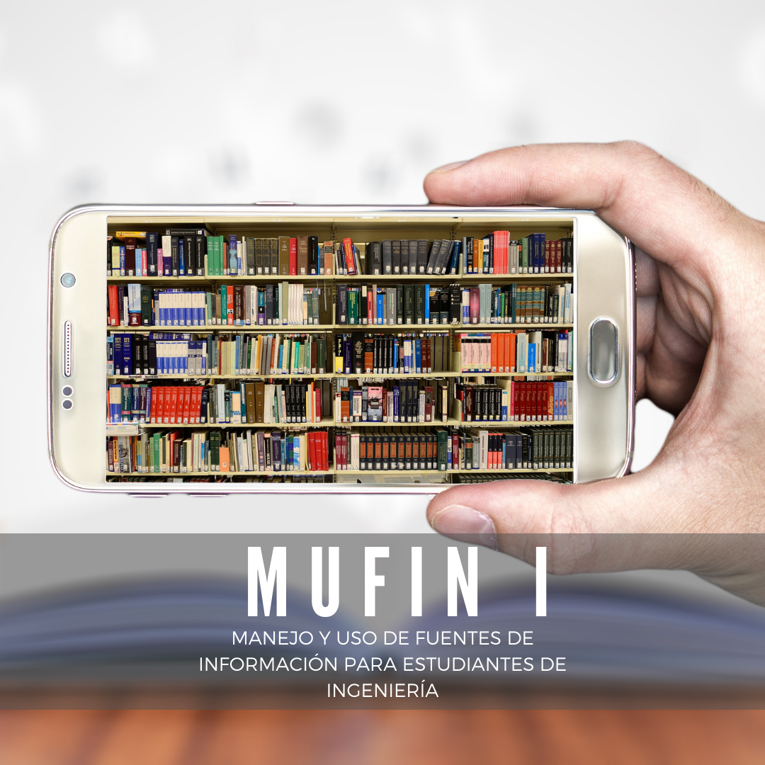 MUFIN I: [Manejo y Uso de Fuentes de Información para Estudiantes de Ingeniería]