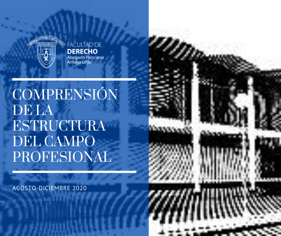 COMPRENSIÓN DE LA ESTRUCTURA DEL CAMPO PROFESIONAL