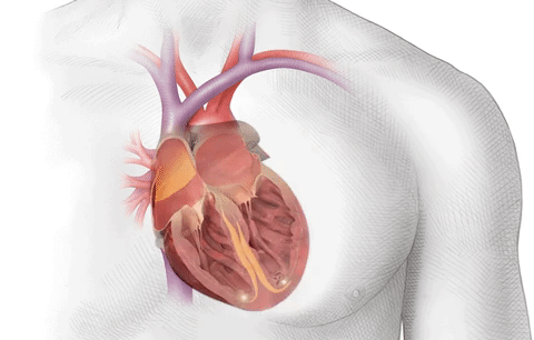 Fisiopatología 2