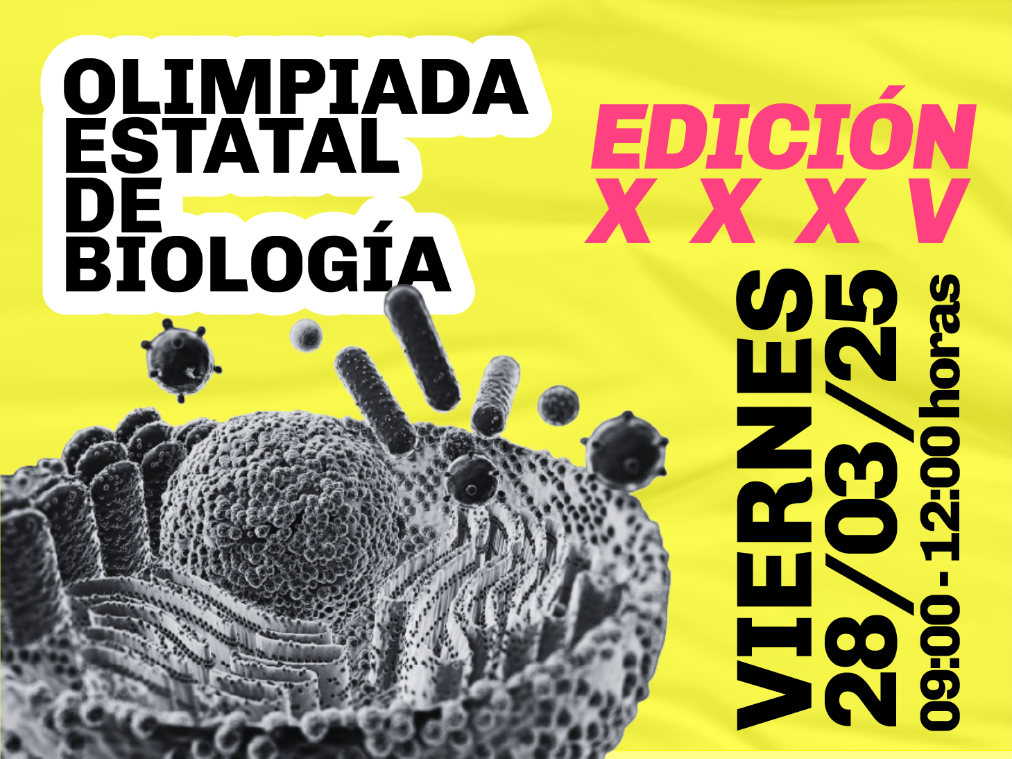 XXXV OLIMPIADA ESTATAL DE BIOLOGIA