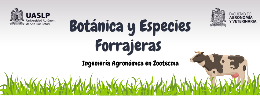Botánica y Especies Forrajeras