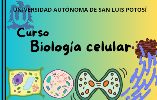 Biología Celular