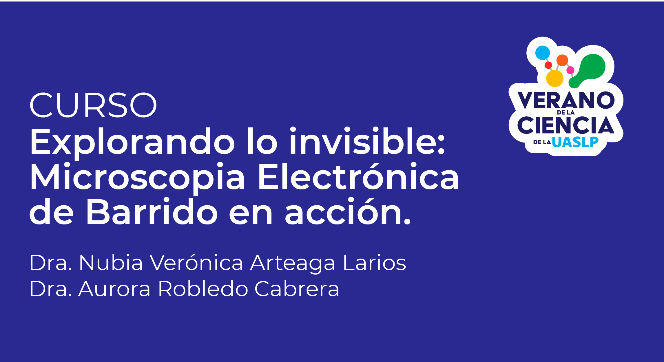 Explorando lo invisible: Microscopia Electrónica de Barrido en acción