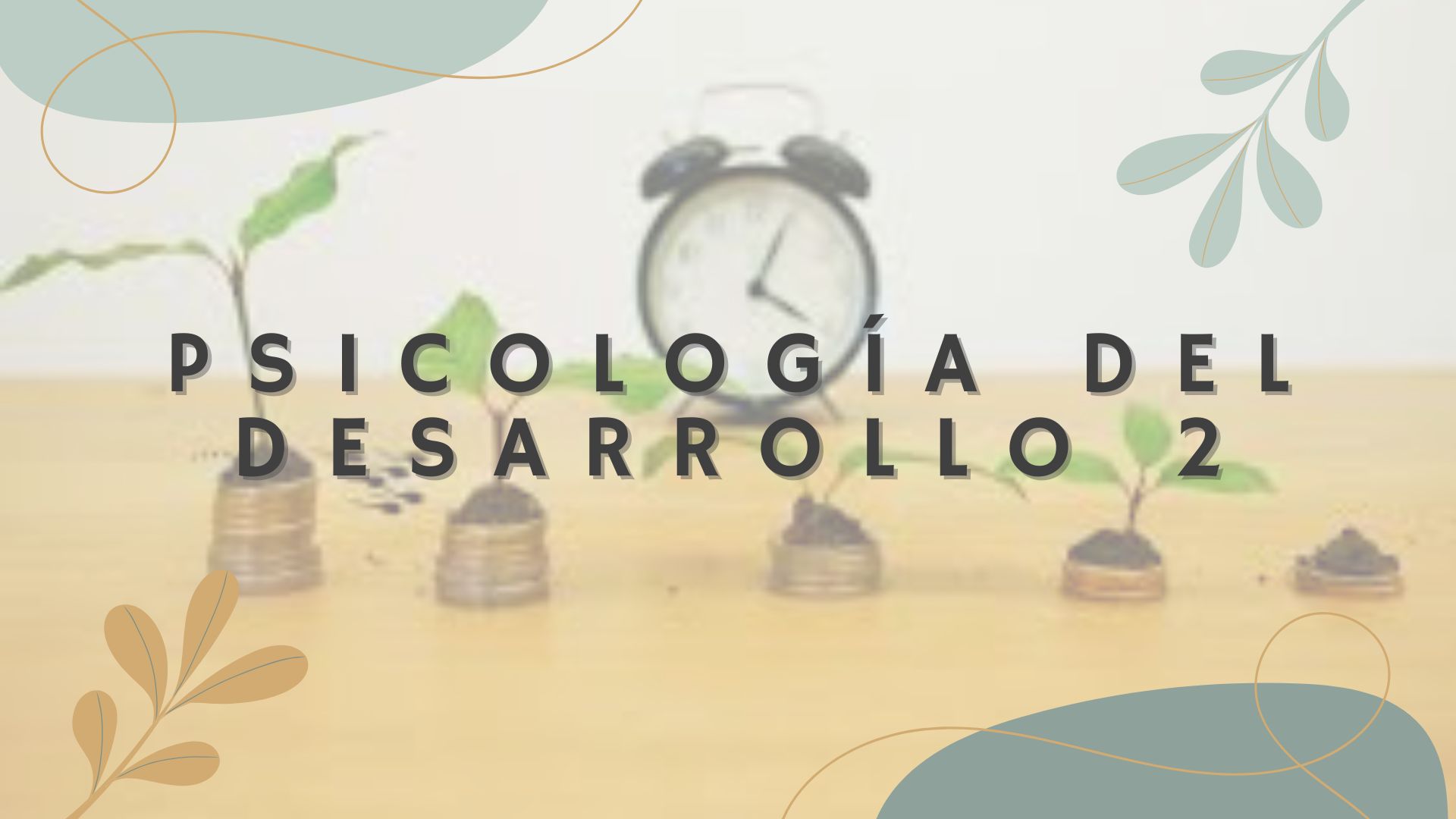 Psicología del desarrollo II