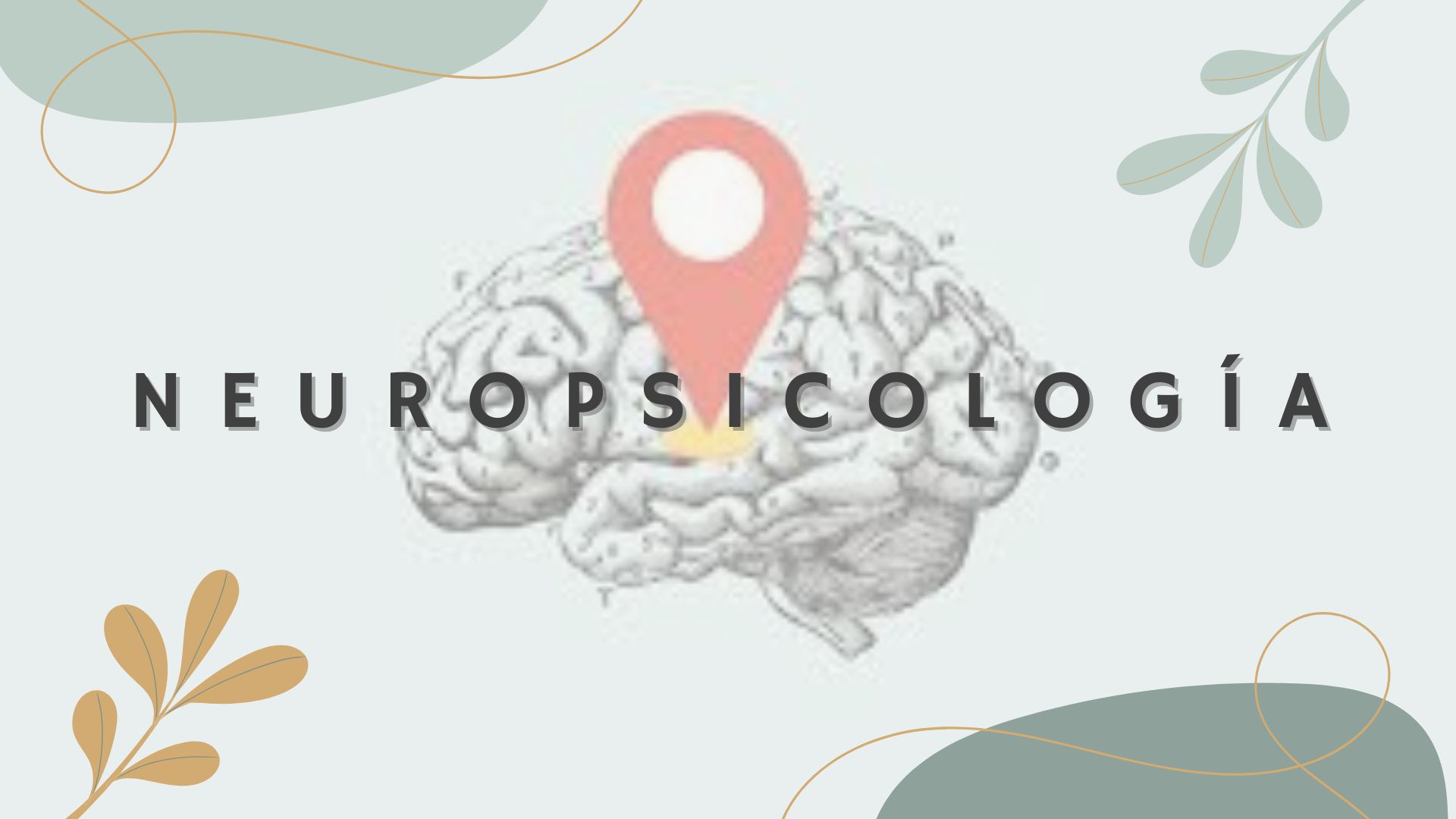 Neuropsicologia