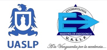 Endodoncia. Revisión de Literatura