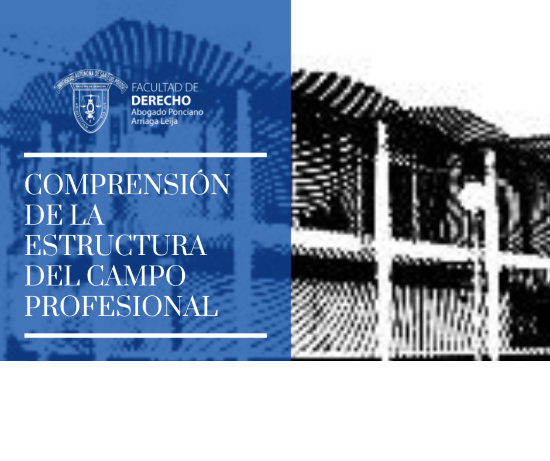 COMPRENSION DE LA ESTRUCTURA DEL CAMPO PROFESIONAL 