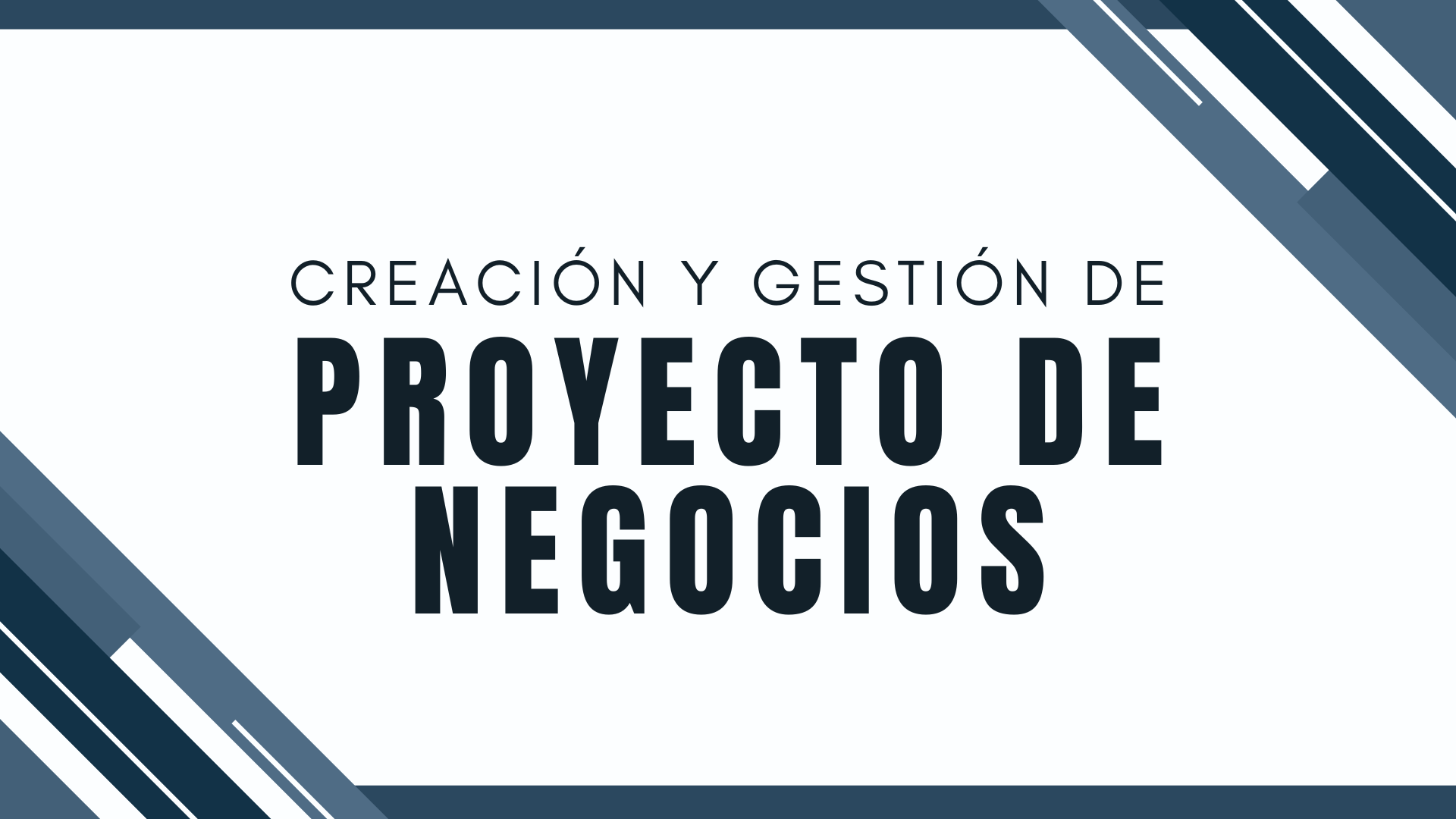 Creación y Gestión de Proyecto de Negocios