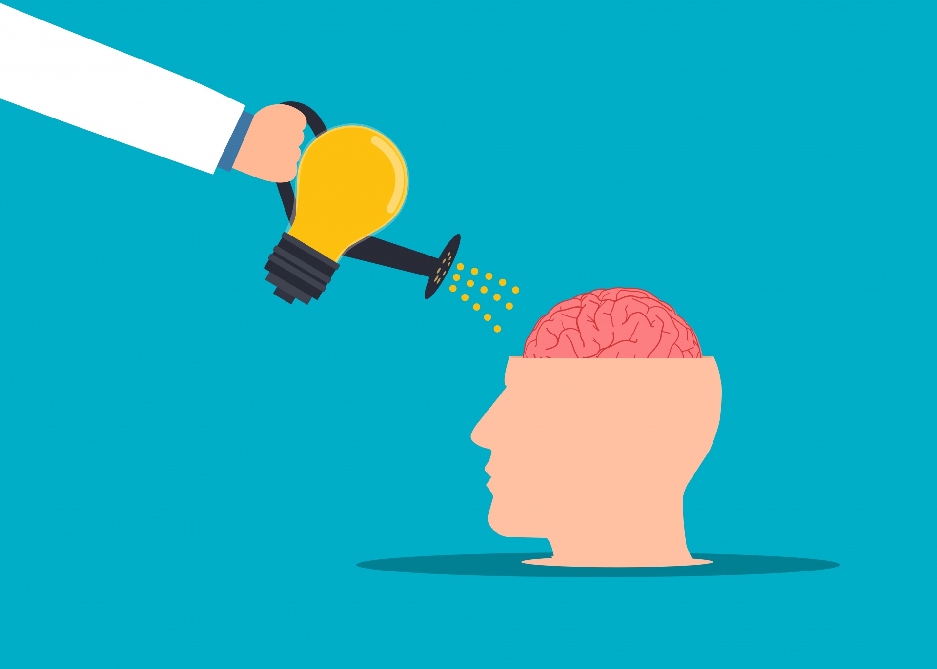 ACAFI VIII Creat-Des-Con