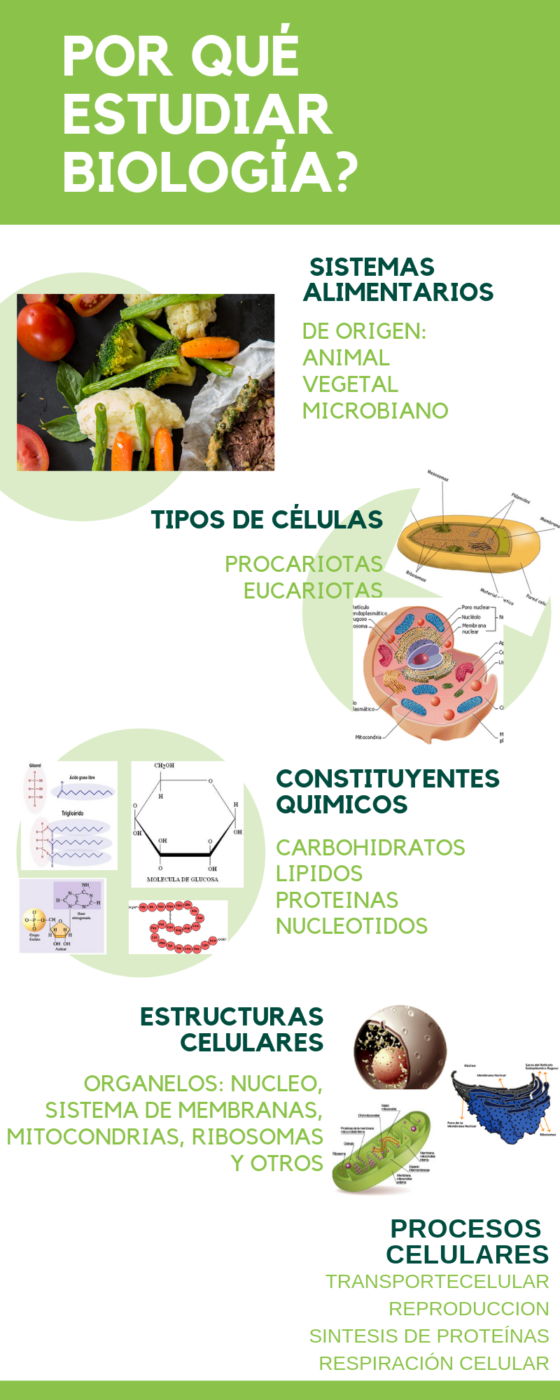 Biología Celular