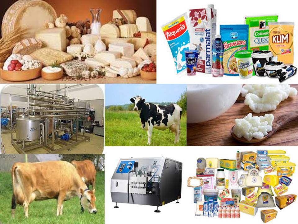 PRODUCTOS DERIVADOS Y EQUIPO DE LA INDUSTRIA LACTEA